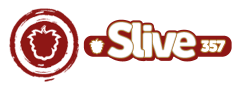 logo_sl357