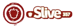logo_sl357